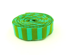Load image into Gallery viewer, Quilt Binding Tula Pink Tent Stripe Agave 1/2'' Stripe 1 1/4" Single Fold Binding