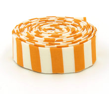 Load image into Gallery viewer, Quilt Binding Tula Pink Tent Stripe Begonia 1/2'' Stripe 1 1/4" Single Fold Binding