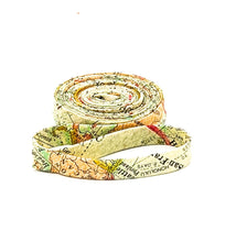 Load image into Gallery viewer, Double Fold 1/2'' Bias Tape Foundations Expedition Multi Bias Binding Map Print Fabric Tim Holtz