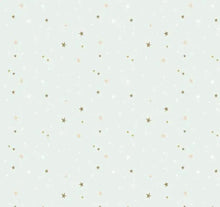 Load image into Gallery viewer, Spin and Twirl Stars Mint Green Fabric Half Yards