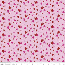 Load image into Gallery viewer, Gnomes In Love Hearts Pink Riley Blake Designs Half Yards
