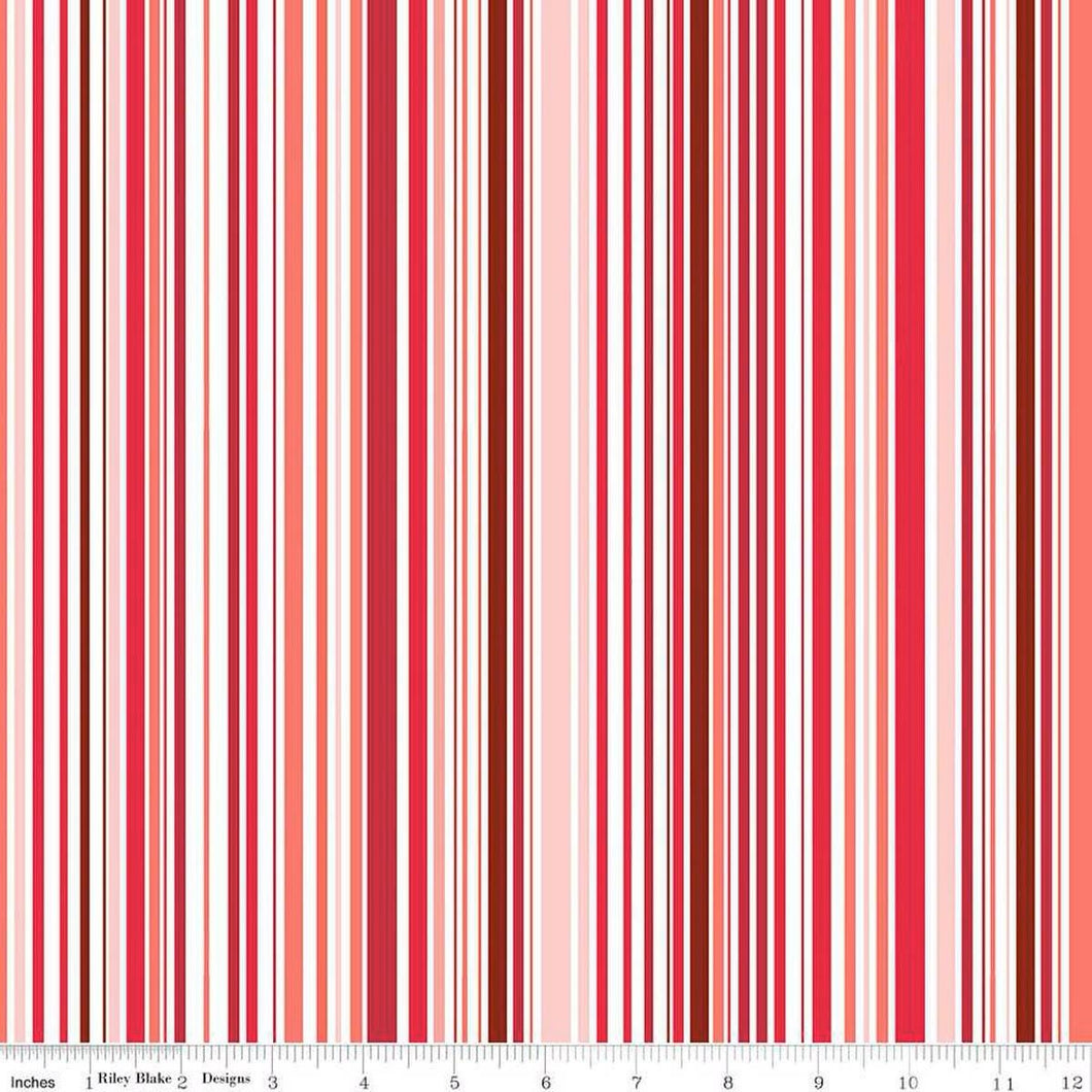 Cloudburst Stripe Red and White Riley Blake Designs Half Yard Jill Findley