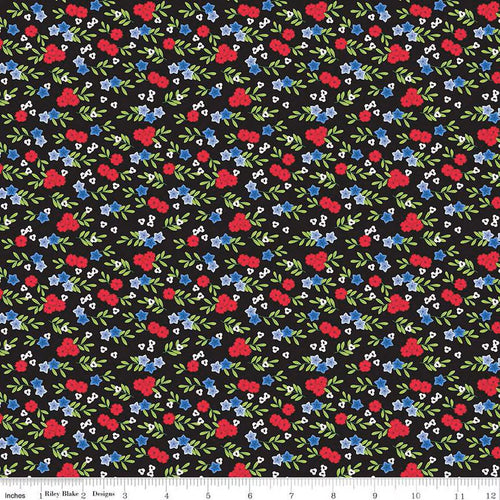 Cloudburst Floral Black Riley Blake Designs Half Yard Jill Findley