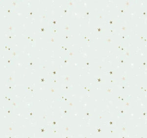 Spin and Twirl Stars Mint Green Fabric Half Yards