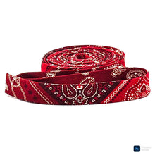 Load image into Gallery viewer, Double Fold Bias Tape Paisley Bandana Print Red 1/2&#39;&#39; Binding
