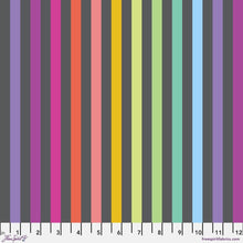 Load image into Gallery viewer, Tula Pink Disco Stripe Carbon Gray Rainbow Fabric Half Yards

