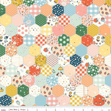Load image into Gallery viewer, Serendipity 2 Hexy Cheater Quilt Top Half Yard

