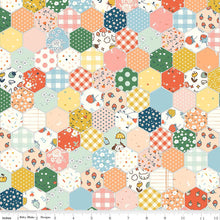 Load image into Gallery viewer, Serendipity 2 Hexy Cheater Quilt Top Half Yard
