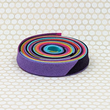 Load image into Gallery viewer, Double Fold 1/2'' Bias Tape Floral Reef Smooth Sailing Stripe Rainbow Binding
